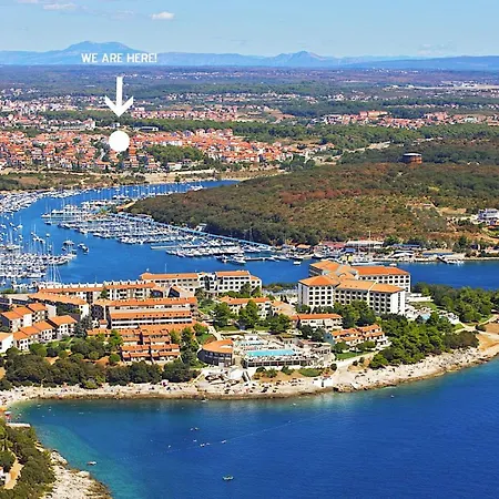 Alavuk Pula