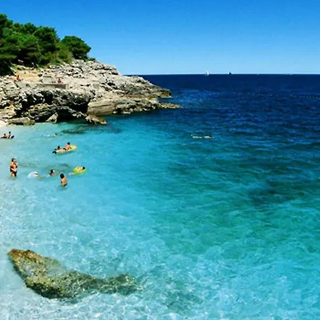Alavuk * Pula