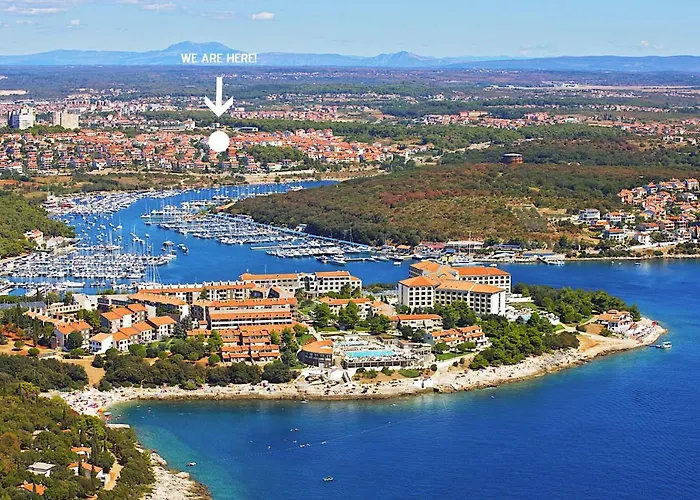 Alavuk Pola