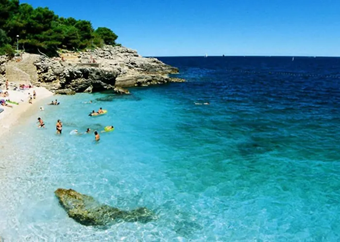 Alavuk * Pula